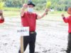 Bupati Solok Epyardi Asda, M. Mar tanam perdana penangkaran padi sawah varietas Cisokan dan Anak Daro di Lembang, Nagari Singkarak
