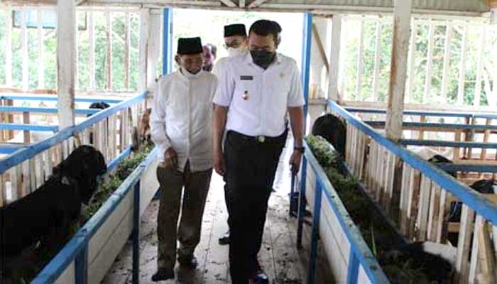 Audy Joinaldy Tinjau Agro Wisata Boncah Farm Kambing Etawa di Nagari Barulak