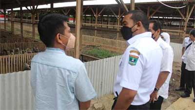 Wagub Audy Dorong Mato Aia Jaya Farm Ikut Branding Daerah 1 Gubernur Sumbar, Audy Joinaldy saat mengunjungi peternakan ayam kampung dan itik Mato Aia Jaya Farm di Padang Pariaman