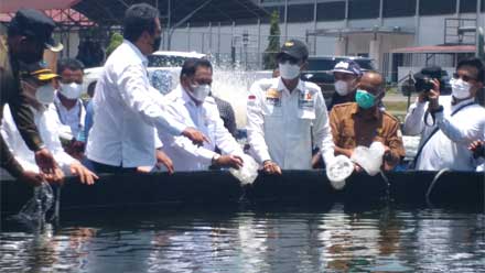 Komite II DPD RI Tinjau Tambak Udang Vaname di Aceh Timur