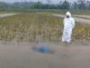 Petani Kebumen Tersambar Petir