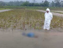 Terkuak! Misteri Gelegar Petir Bikin Traktor Berjalan Sendiri Tanpa Joki di Buayan