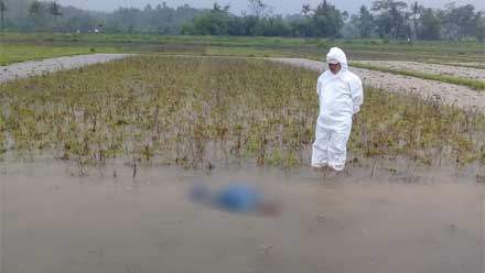Petani Kebumen Tersambar Petir