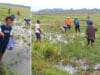 Naiknya air dari sungai ke area persawahan Desa Tanjungrejo dan Desa Dewi di Kecamatan Bayan, Kabupaten Purworejo, Jawa Tengah jadi berkah bagi warga
