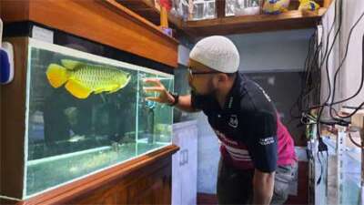 Ray Aquarium Semakin Dikenal Pecinta Ikan Hias di Padang Panjang