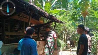 Peternak Nagari Sungai Liku Ranah Pesisir Manfaatkan Kotoran Sapi Jadi Pupuk Alami