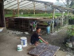 Zulfaizal Kantongi Jutaan Rupiah dari Hasil Pembibitan Aneka Tanaman