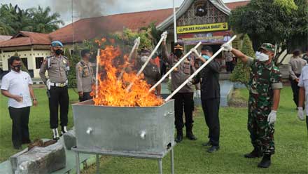 Musnahkan-Barang-Bukti-Ganja
