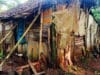 Anak Yatim Piatu Tinggal di Rumah Tak Layak Huni