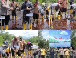 Kapolda Papua Ikuti Penanaman Mangrove Serentak di Pantai Cibery Jayapura