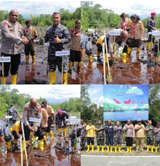 Kapolda Papua Ikuti Penanaman Mangrove Serentak di Pantai Cibery Jayapura