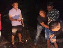 Satresnarkoba Polres Agam Ringkus 2 Tersangka Pengedar Ganja