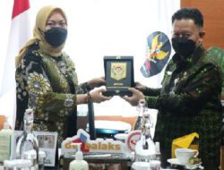 Kunjungi KemenPAN-RB, Kemendagri Dorong Pembentukan SOTK Tambahan