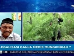 Senator Aceh: Ganja untuk Keperluan Medis Dimungkinkan