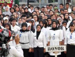 Pemkab Nias Barat Data Pegawai Tenaga Honorer Kategori II dan Pegawai Non ASN