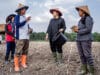 Puan Maharani ikut tanam singkong bareng petani di Tulang Bawang, Lampung