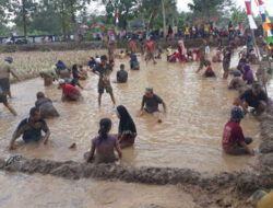 Warga Tanjungrejo Ramai-ramai Menangkap Ikan Lele di Sawah