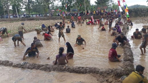 Warga Tanjungrejo Ramai-ramai Tangkap Ikan Lele di Sawah