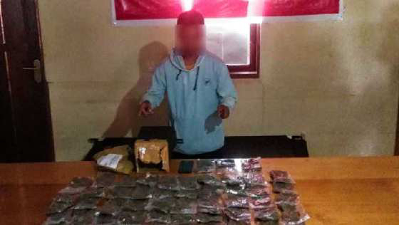 54 Paket Ganja Berhasil Diamankan Satuan Reserse Narkoba di Nabire 1 Pelaku beserta barang bukti 54 Paket Ganja Berhasil Diamankan Satuan Reserse Narkoba di Nabire