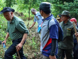 Gubernur Mahyeldi Survei Jalan Tembus Malalak – Sungai Batang