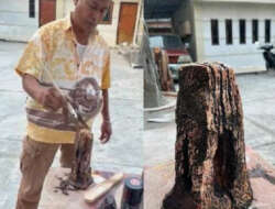 Di Tangan Untung Sangaji, Limbah Kayu Disulap Jadi Karya Seni