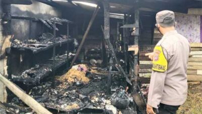 Dapur Rumah Mbah Jinem Ludes Terbakar, Kerugian Ditaksir Puluhan Juta Rupiah