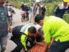 Laga Kambing antar Sepeda Motor di Sitiung