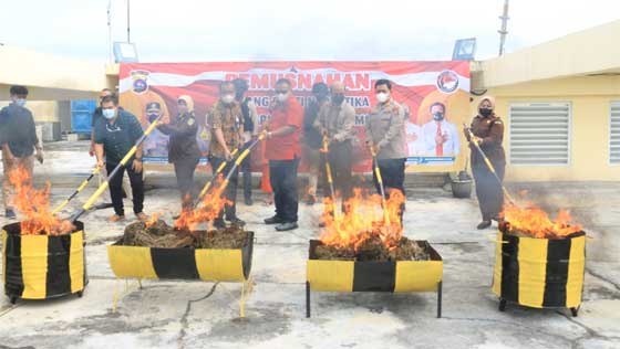 Polda Sumbar Musnahkan Barang Bukti Ganja Kering