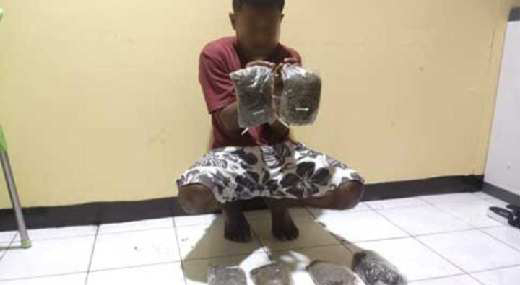 Polisi amankan seorang Pria diduga bawa ganja di Nabire