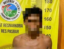 Ringkus Tersangka Pengedar Narkotika, Polres Pasbar Sita Sabu dan Uang Tunai