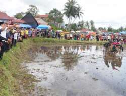 Wabup Tanah Datar Buka Alek Anak Nagari Pacu Jawi di Sawah Tapi Cubadak 14 Richi Aprian buka Alek Anak Nagari Pacu Jawi di Sawah Tapi Cubadak