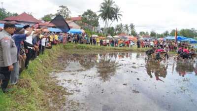 Wabup Tanah Datar Buka Alek Anak Nagari Pacu Jawi di Sawah Tapi Cubadak
