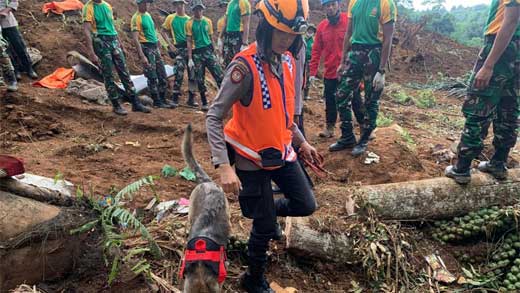 Anjing Pelacak Berhasil Endus Diduga Korban Tertimbun Longsor Cianjur