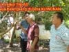 Boedoyo di kebun lengkengnya di Desa Kliwonan, Kecamatan Banyurip, Kabupaten Purworejo, Jawa Tengah