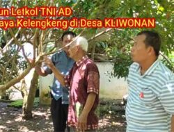 Berkebun Lengkeng, Purnawirawan TNI Ini Raup Keuntungan Ratusan Juta Tiap Tahun