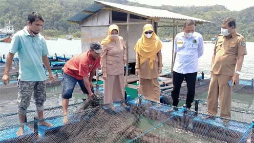 Budidaya Ikan Kerapu Sumbar Bisa Tingkatkan Ekonomi Nelayan Rp 2 Juta per Bulan 1 Desniarti bersama Pejabat Utama Dinas DKP, tinjau jaring apung untuk budidaya ikan kerapu