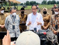 Transformasi BUMN Perkebunan Dorong Ketahanan Pangan dan Energi Lewat Bioetanol Tebu