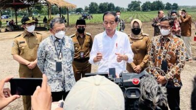 Transformasi BUMN Perkebunan Dorong Ketahanan Pangan dan Energi Lewat Bioetanol Tebu