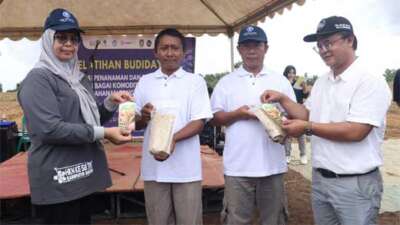 Ketua Tp Pkk Kepri Launching Kemasan Beras Gumiram, Unggulan Desa Lancang Kuning Bintan