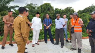 Pedestrian Jalan Bandara RHF Tanjungpinang Dihiasi Bunga Sakura, Bunga Tanjung dan Pohon Pinang