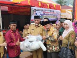 Gubernur Sumbar Serahkan Bantuan Mata Pencaharian Alternatif untuk Nelayan Danau Maninjau