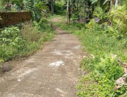 Ruas Jalan Rabat Beton di Nagari Batu Kalang Padang Pariaman Ditumbuhi Semak Belukar