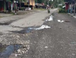 Masyarakat Koto Vii Berharap Pemkab Padang Pariaman Segera Perbaiki Jalan Berlubang