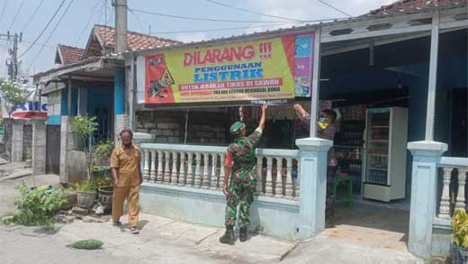 Jebak Tikus Pakai Listrik Resmi Dilarang 1 larang jebak tikus