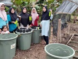 Kwt Kampung Pinang Terima Bantuan Bibit Tanaman Hortikultura Dan Budikdamber