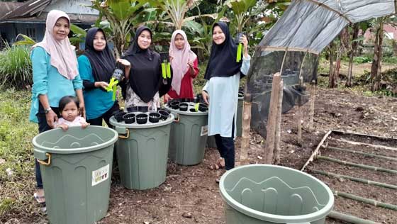 KWT Kampung Pinang Terima Bantuan Bibit Tanaman Hortikultura dan Budikdamber 1 KWT Kampung Pinang Terima Bantuan
