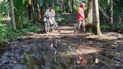 Puluhan Tahun Dibuka, Ruas Ambacang Gadang – Lapau Ngarai Ini Masih Tetap Jalan Tanah