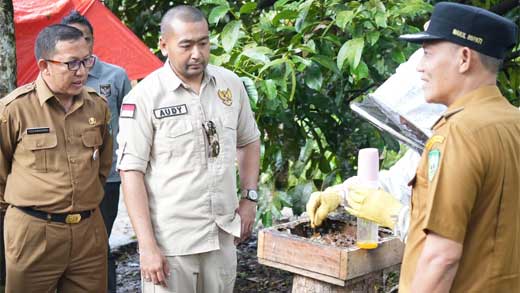 Eduwisata Madu Galo-Galo