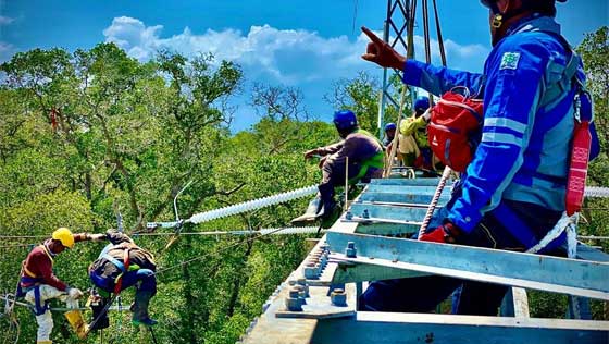Tim PLN perbaiki jaringan listrik