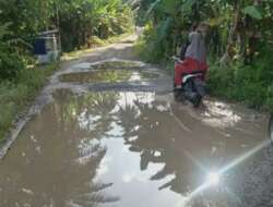 Janji Tinggal Janji, Sampai Kini Ruas Jalan Kampung Surau – Guguk Belum Ada Tanda-tanda Perbaikan